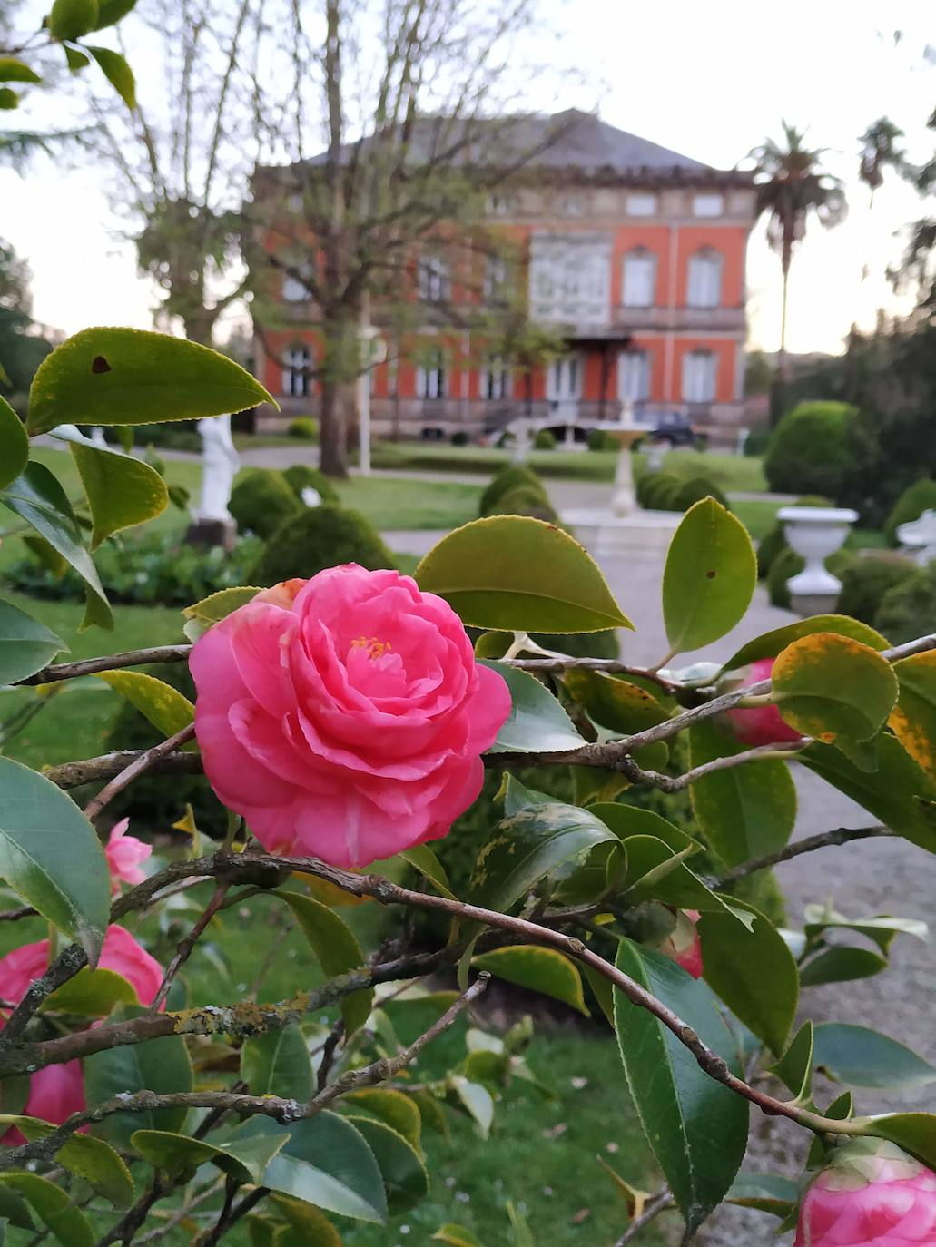 La configuración del jardín se establece a partir de unos enormes e irregulares parterres, impuestos por una red caminera sinuosa de grijo para favorecer el drenaje. Desde la imponente puerta principal se accede a través de un pasillo orlado por bojes donde nos saludan sus dos míticos leones blancos que fueron traídos de un palacio de Cáceres y a sus pies se disponen sendos parterres circulares que se hermosean con flores de temporada.