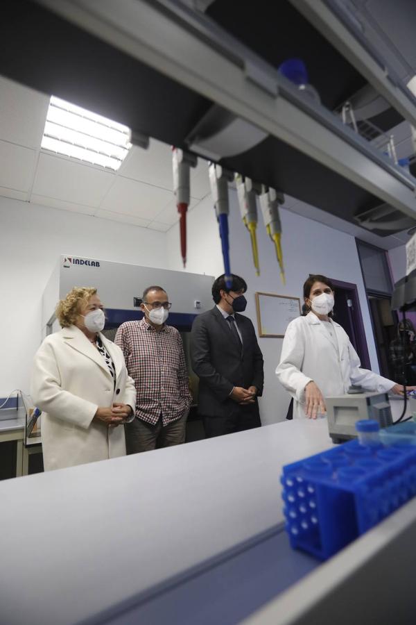 El consejero de Ciencia, Innovación y Universidad, Borja Sánchez, visitó este miércoles el nuevo Instituto Mixto de Investigación en Biodiversidad, el IMIB, una unidad mixta en el campus de Mieres.