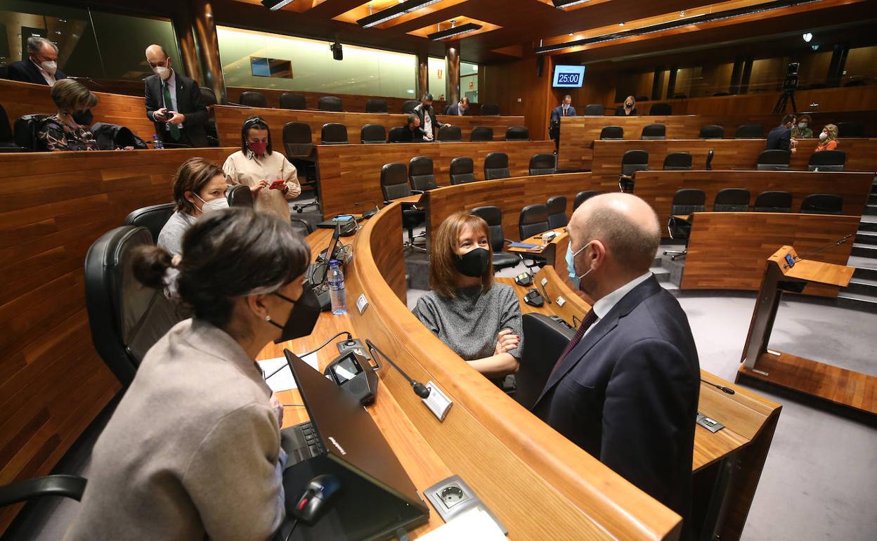 Juan Cofiño y Ana Cárcaba charlan con el grupo socialista 