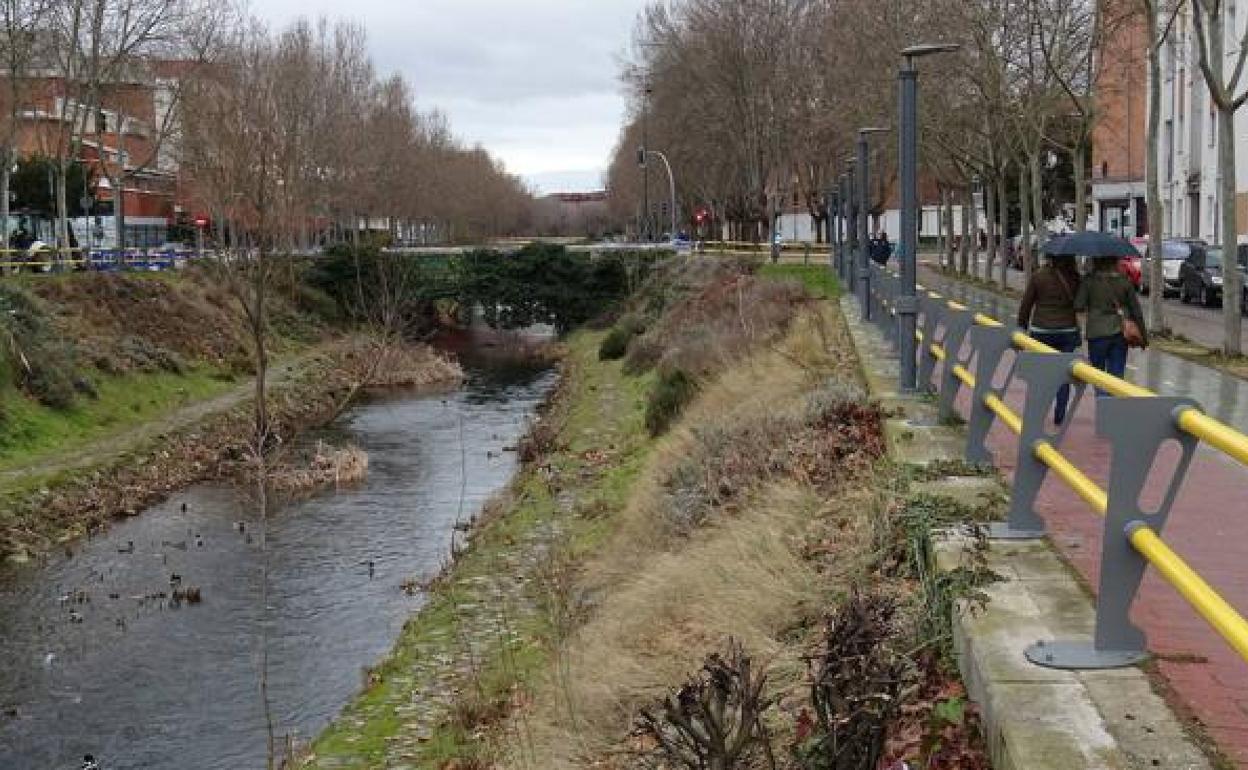Paseo del Cauce de Valladolid, donde ha tenido lugar los hechos.