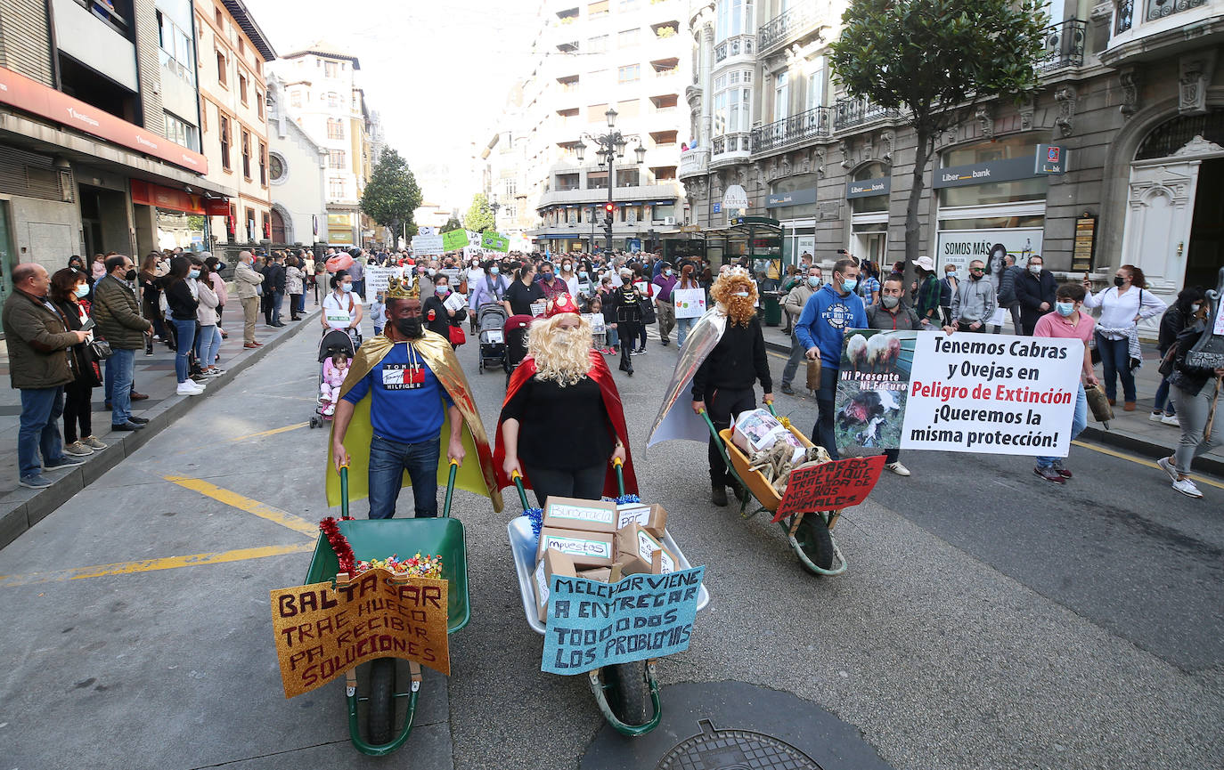 Una nueva tractorada volvió a paralizar el centro de la capital asturiana. Los ganaderos critican el «abandono» por parte de las administraciones públicas. Cientos de personas se concentraron ante la sede de Presidencia, donde se vivieron momentos de tensión. 