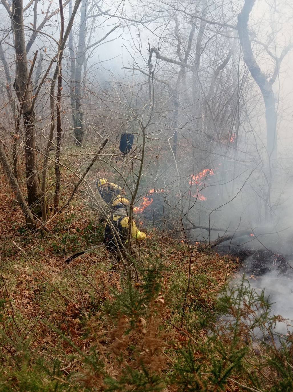 La región ha llegado a sumar un centenar de incendios forestales activos durante el fin de semana. Este lunes los bomberos continuan luchando contra más de cuarenta fuegos 