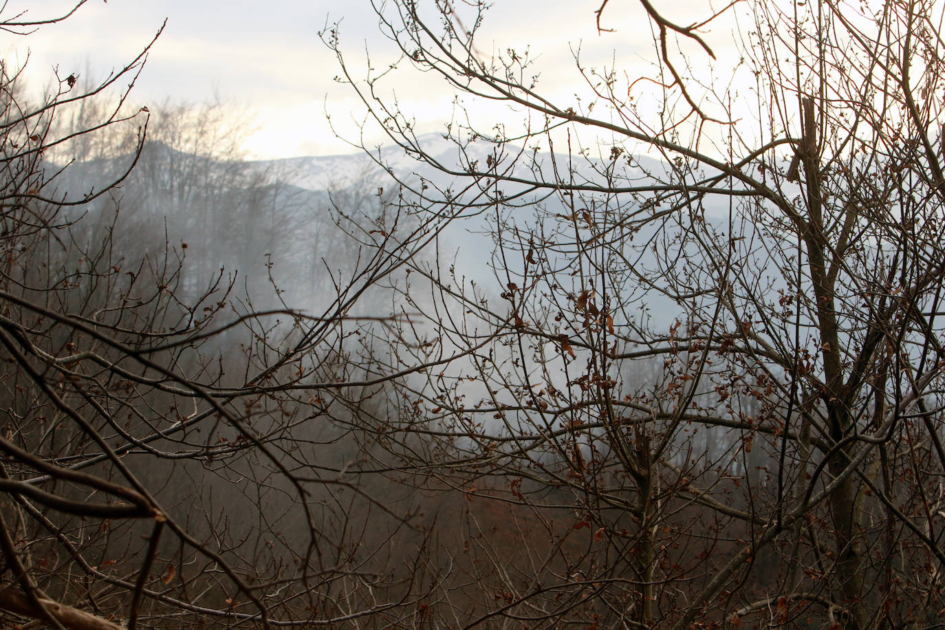 La región ha llegado a sumar un centenar de incendios forestales activos durante el fin de semana. Este lunes los bomberos continuan luchando contra más de cuarenta fuegos 