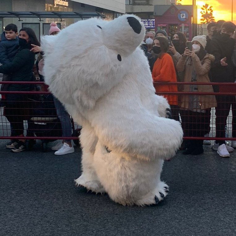La cabalgata de Reyes Magos de Cádiz ha dado mucho que hablar por culpa de un inesperado protagonista: un oso polar que resultó 'accidentado'. El disfraz tenía la cabeza girada durante el desfile, lo que ha provocado numerosos comentarios y memes. 