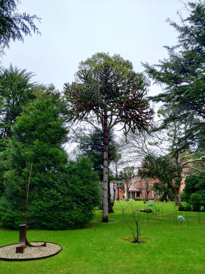 El jardín de la finca La Redonda se trata del principal jardín escultórico de Asturias lo que le imprime también ese salto cualitativo, con destacables obras de artistas como Maojo o Camín, el cual ya ha sido varias veces calificado por autoridades en la materia, como los geógrafos Ramón Alvargonzález y Rodrigo Álvarez Brecht, como el más rico y espectacular de la parroquia de Somió (Gijón), tanto por su dilatada historia, como por su diseño y su variedad botánica; a lo que hay que añadir la antigüedad de un centenar de ejemplares que superan o se aproximan al siglo de vida.