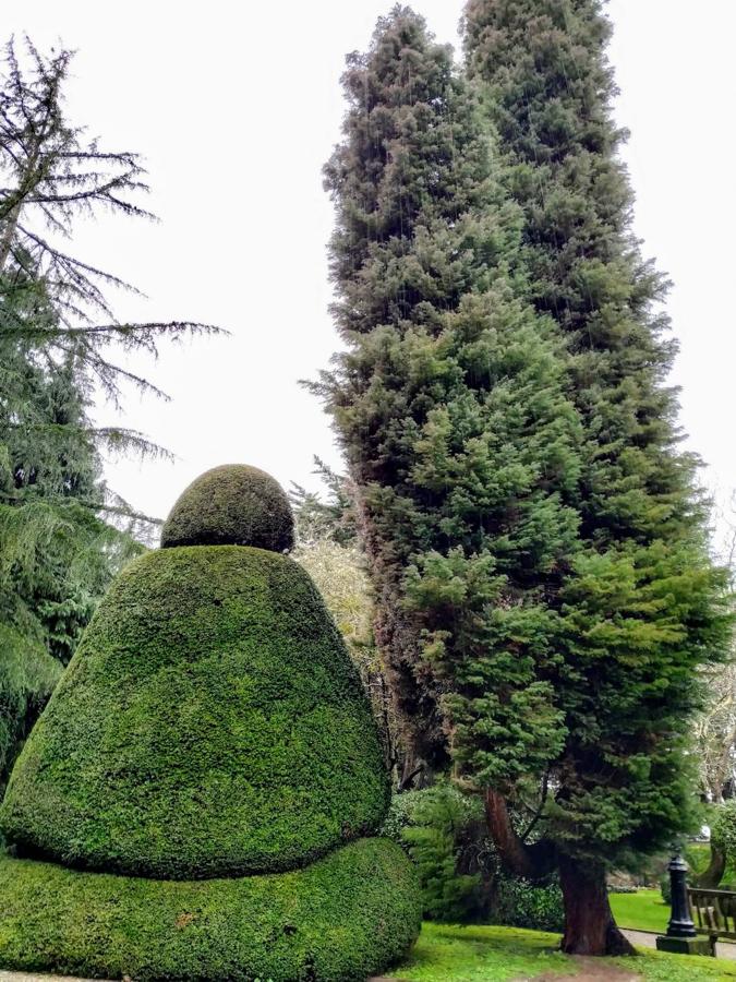 El jardín de la finca La Redonda se trata del principal jardín escultórico de Asturias lo que le imprime también ese salto cualitativo, con destacables obras de artistas como Maojo o Camín, el cual ya ha sido varias veces calificado por autoridades en la materia, como los geógrafos Ramón Alvargonzález y Rodrigo Álvarez Brecht, como el más rico y espectacular de la parroquia de Somió (Gijón), tanto por su dilatada historia, como por su diseño y su variedad botánica; a lo que hay que añadir la antigüedad de un centenar de ejemplares que superan o se aproximan al siglo de vida.