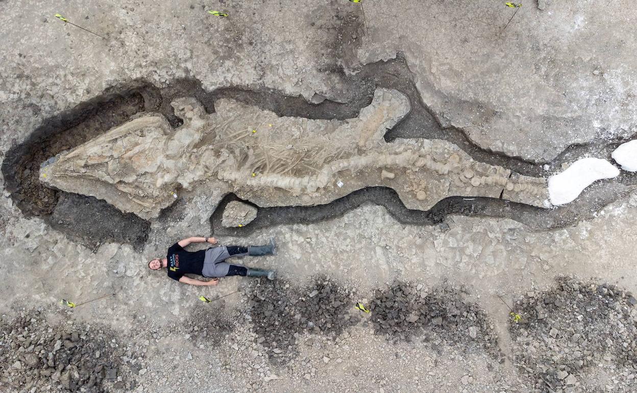 Un hombre posa junto a los restos excavados del ictiosaurio de Rutland. 