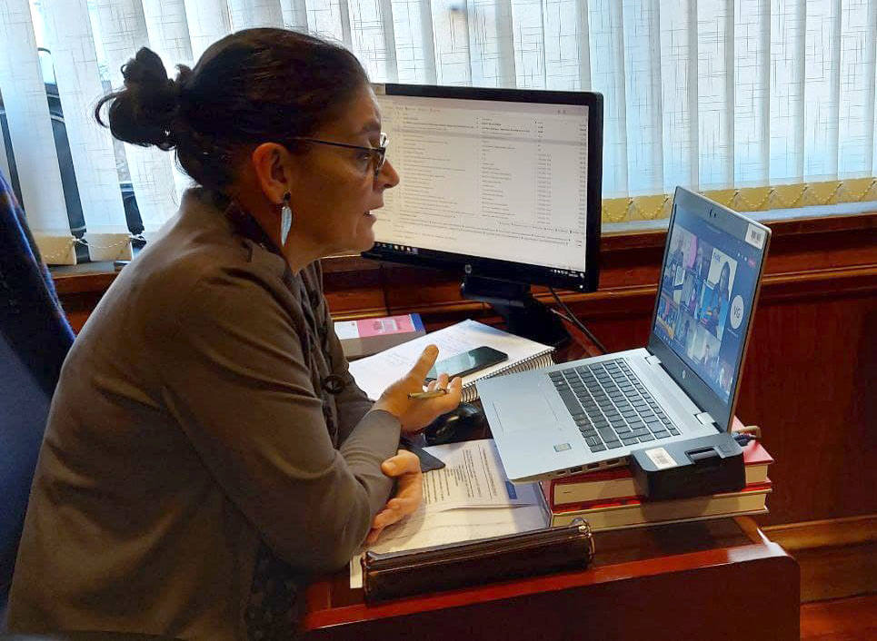 Concepción Saavedra, durante la reunión de esta mañana.