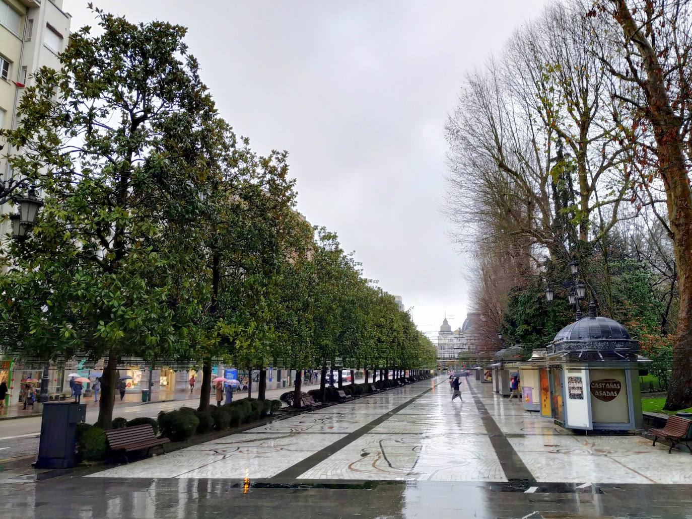 Paseo de los Álamos con otra hilera de magnolias grandiflora enmarcando el mosaico de Antonio Suárez reconocido internacionalmente por el DOCOMOMO. 