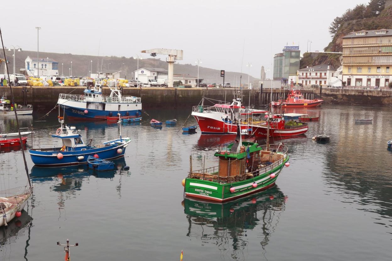 Embarcaciones amarradas en el puerto de Luarca, para el que los pescadores piden un dragado. 