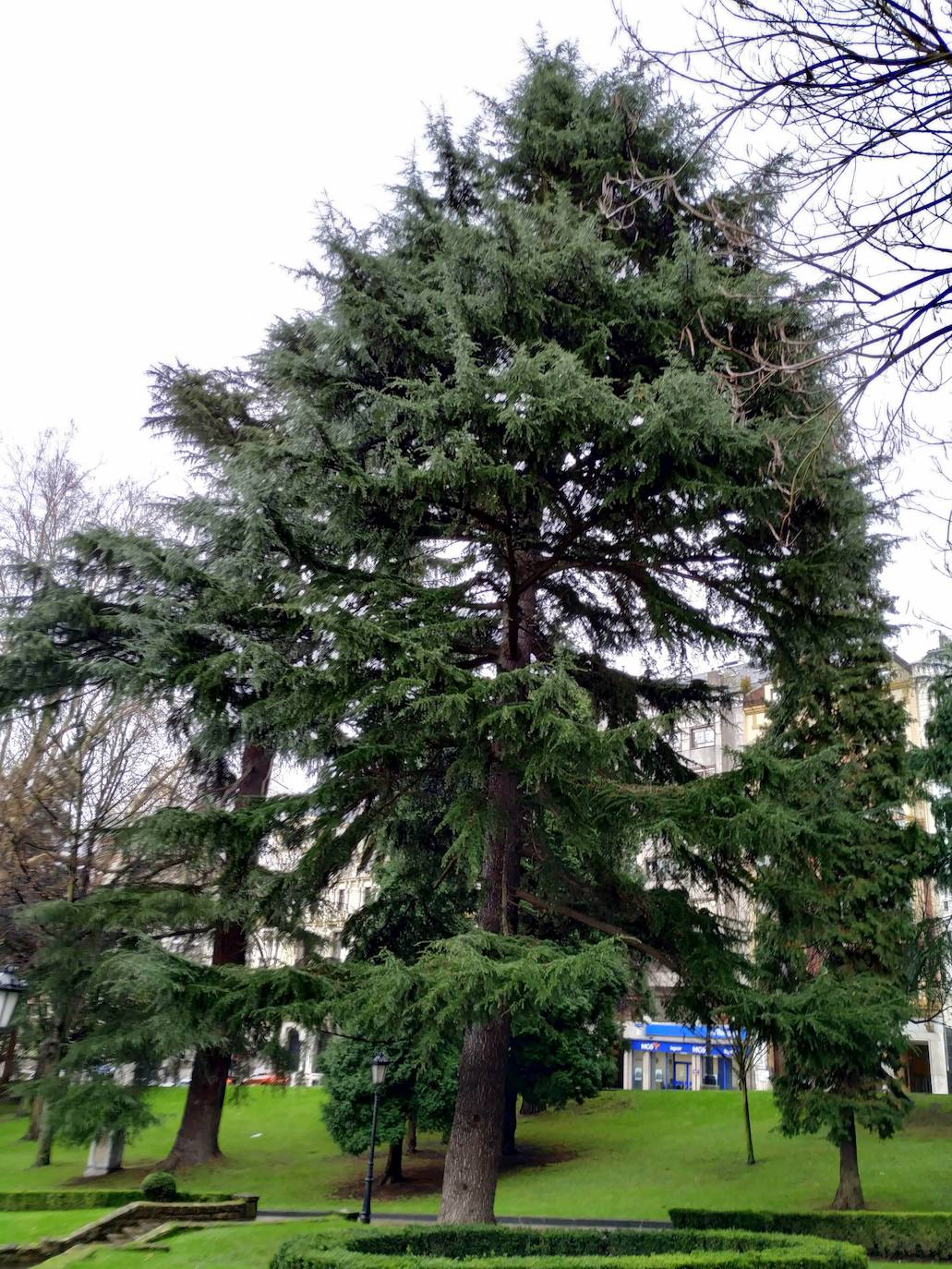 La huerta y el jardín botánico del Monasterio de San Francisco fueron el germen del parque público del que hoy presume la ciudad. 