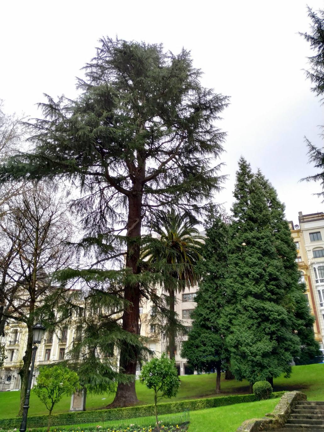 La huerta y el jardín botánico del Monasterio de San Francisco fueron el germen del parque público del que hoy presume la ciudad. 