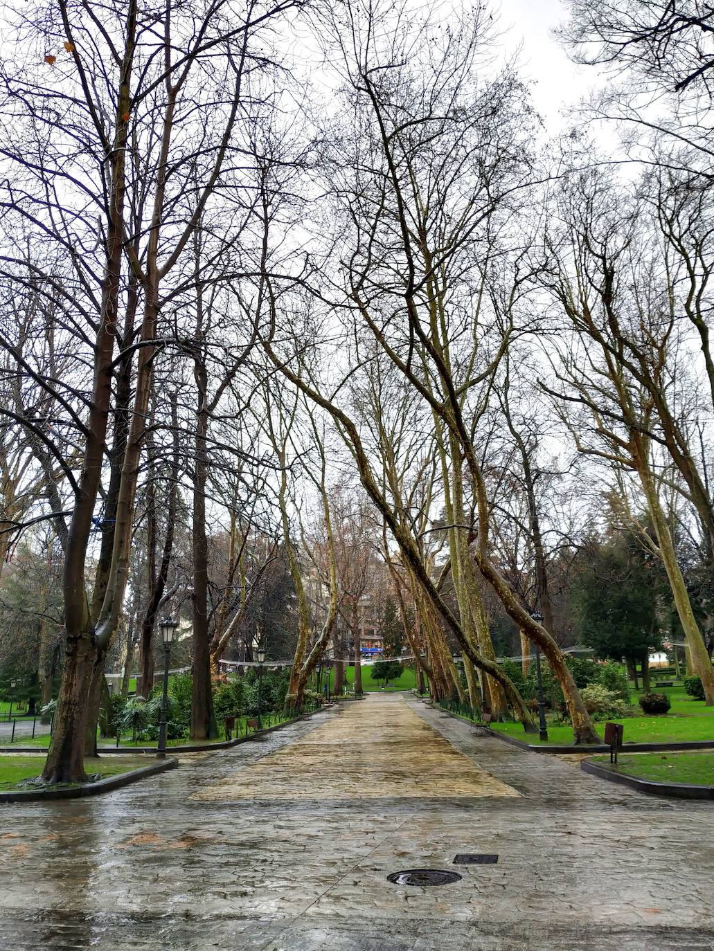 La huerta y el jardín botánico del Monasterio de San Francisco fueron el germen del parque público del que hoy presume la ciudad. 