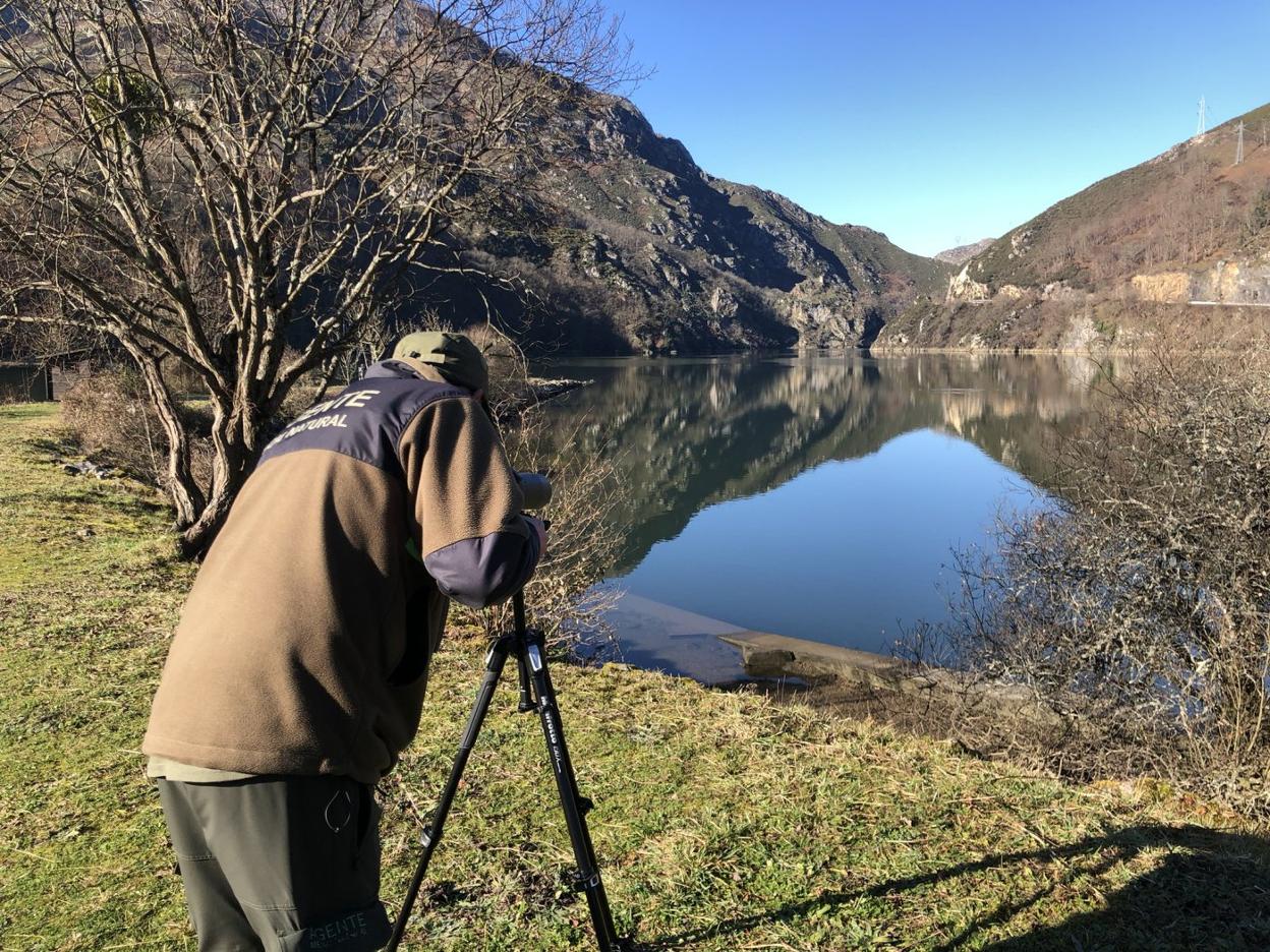 El guarda del medio rural Héctor Martínez observa a las aves en el embalse de Rioseco. 