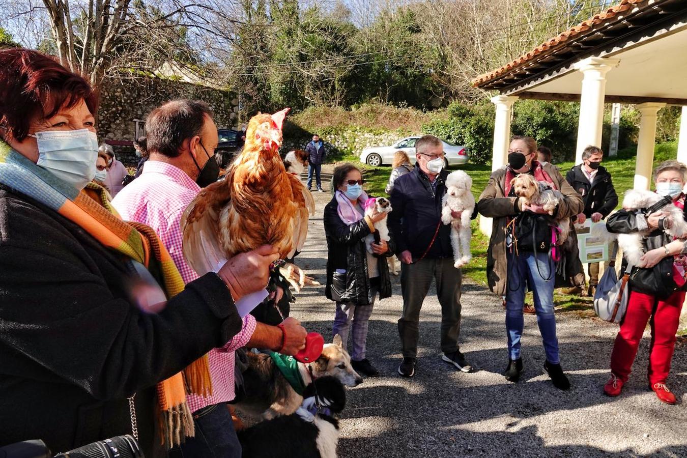 La parroquia de Parres acogió este lunes a sus mascotas para bendecirles con salud y suerte. Se llegaron a ver hasta gallinas y ovejas, entre multitud de perros, en su mayoría, y gatos.