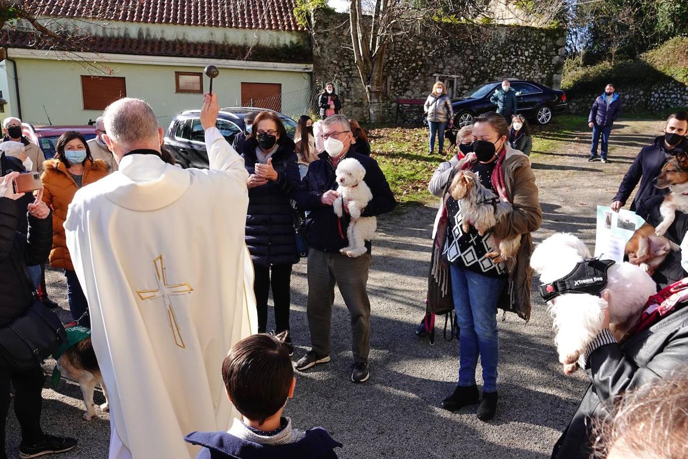 La parroquia de Parres acogió este lunes a sus mascotas para bendecirles con salud y suerte. Se llegaron a ver hasta gallinas y ovejas, entre multitud de perros, en su mayoría, y gatos.