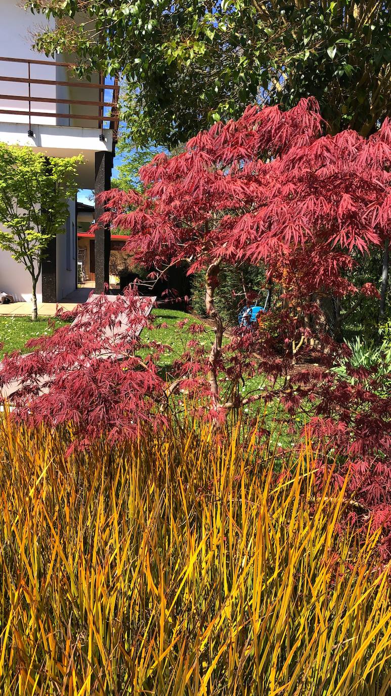 El jardín escultórico japonés de Mario Argüelles se encuentra situado en la histórica finca de los marqueses de Pidal (Somió), convertida ahora en su mayor parte en la urbanización El Pisón.