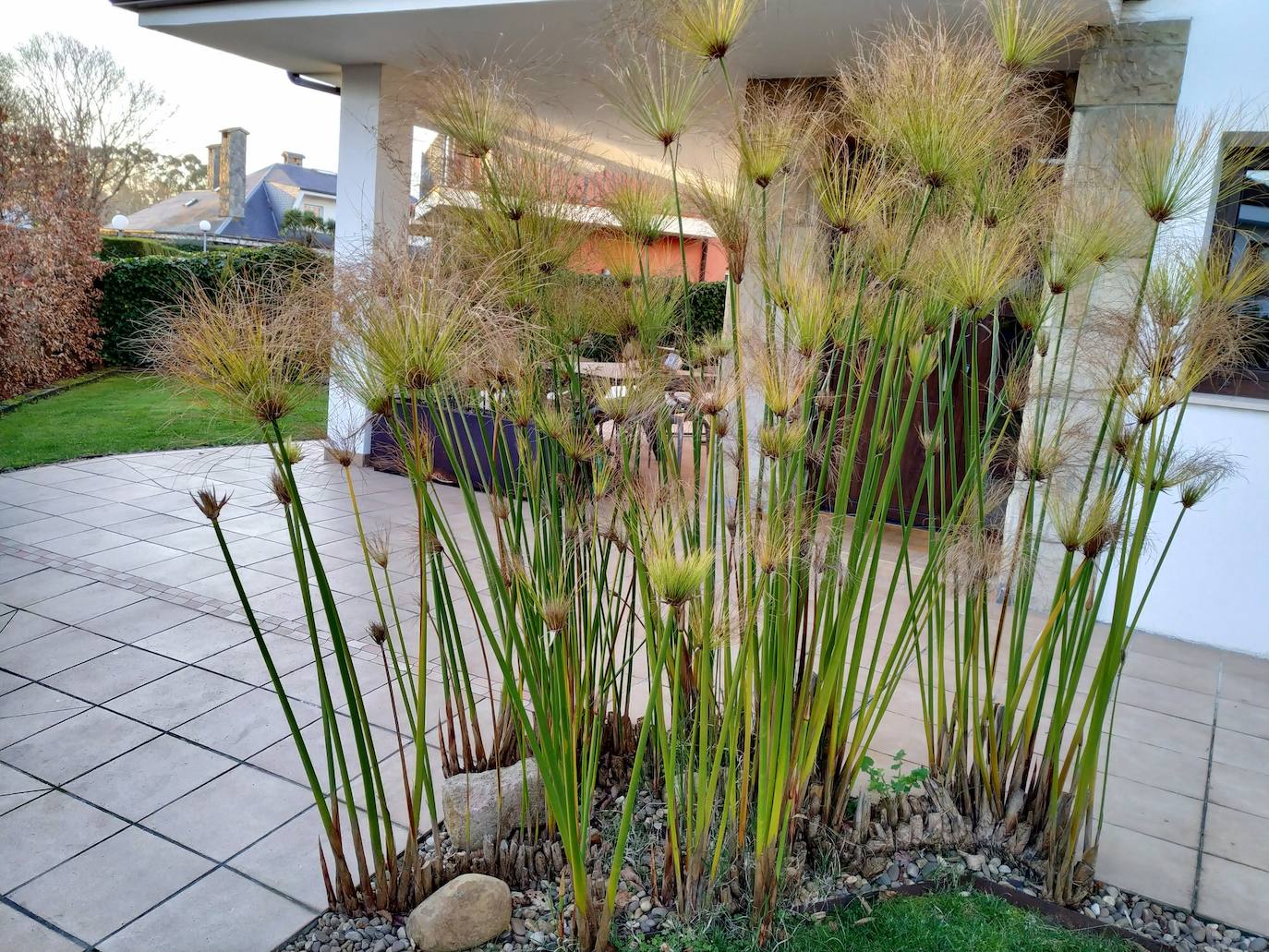 El jardín escultórico japonés de Mario Argüelles se encuentra situado en la histórica finca de los marqueses de Pidal (Somió), convertida ahora en su mayor parte en la urbanización El Pisón.