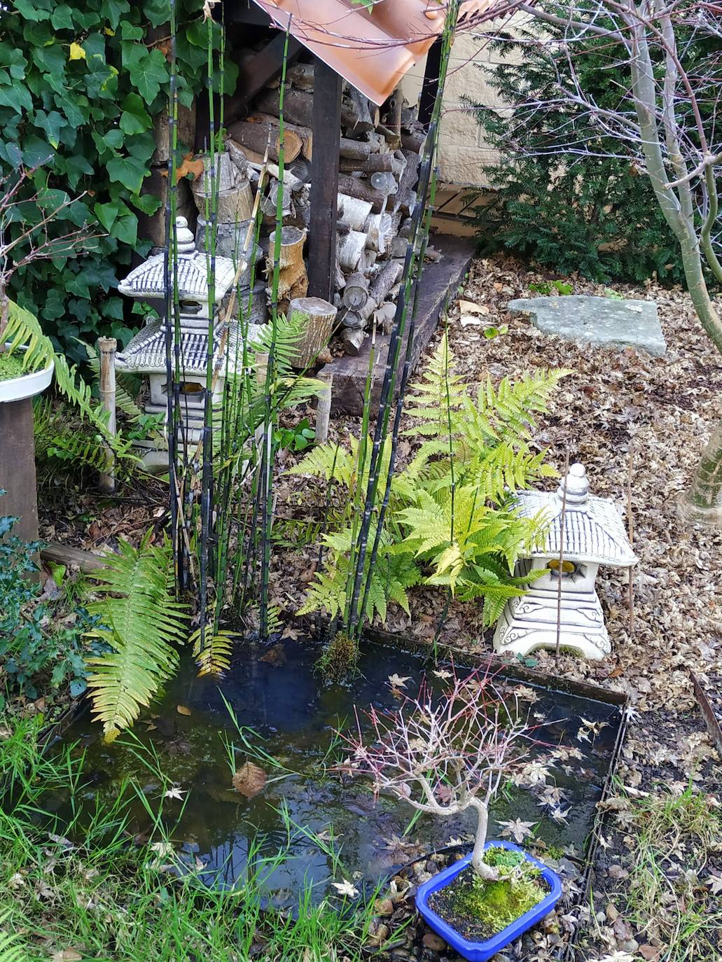 El jardín escultórico japonés de Mario Argüelles se encuentra situado en la histórica finca de los marqueses de Pidal (Somió), convertida ahora en su mayor parte en la urbanización El Pisón.