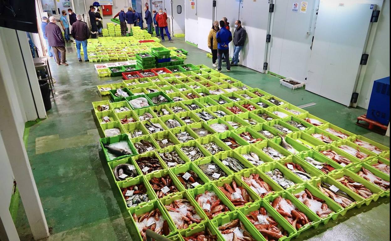 Las capturas de las cofradías de pescadores del oriente se desploman un 20 por ciento