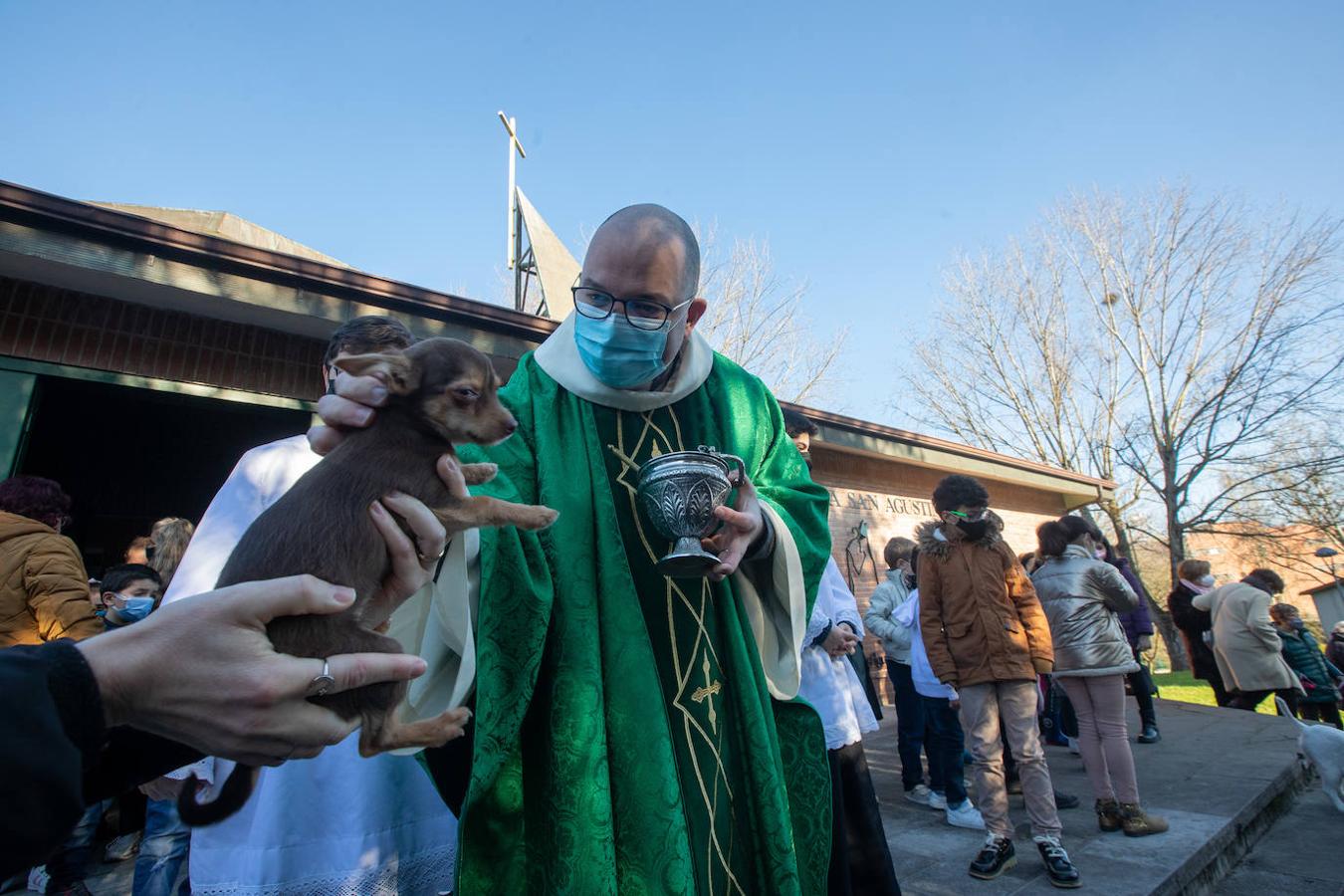 Fotos: Bendición de mascotas en Avilés