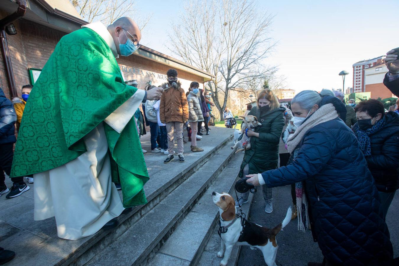 Fotos: Bendición de mascotas en Avilés