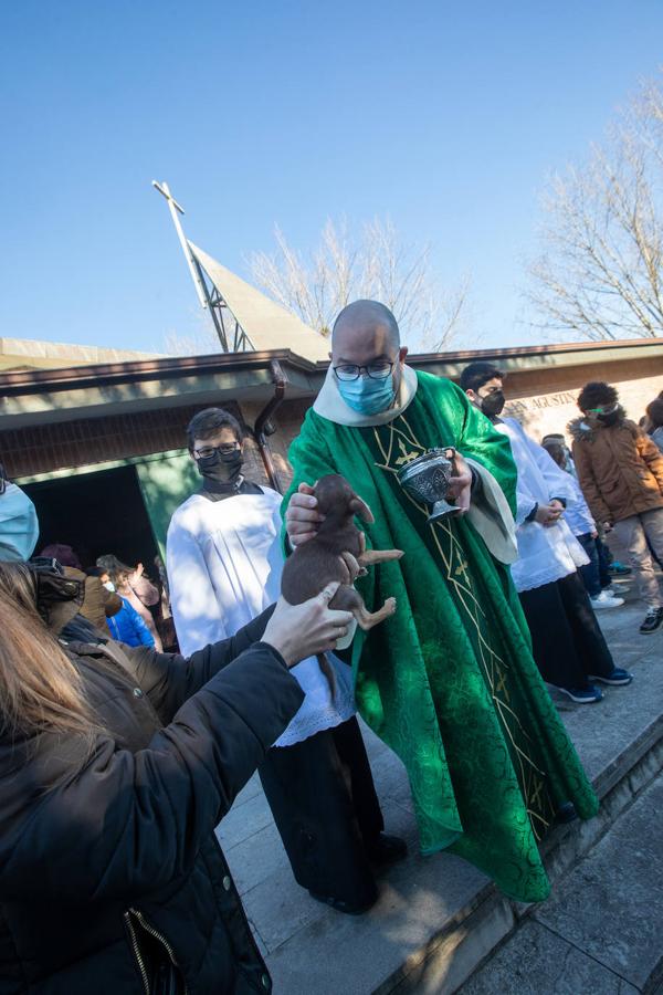 Fotos: Bendición de mascotas en Avilés