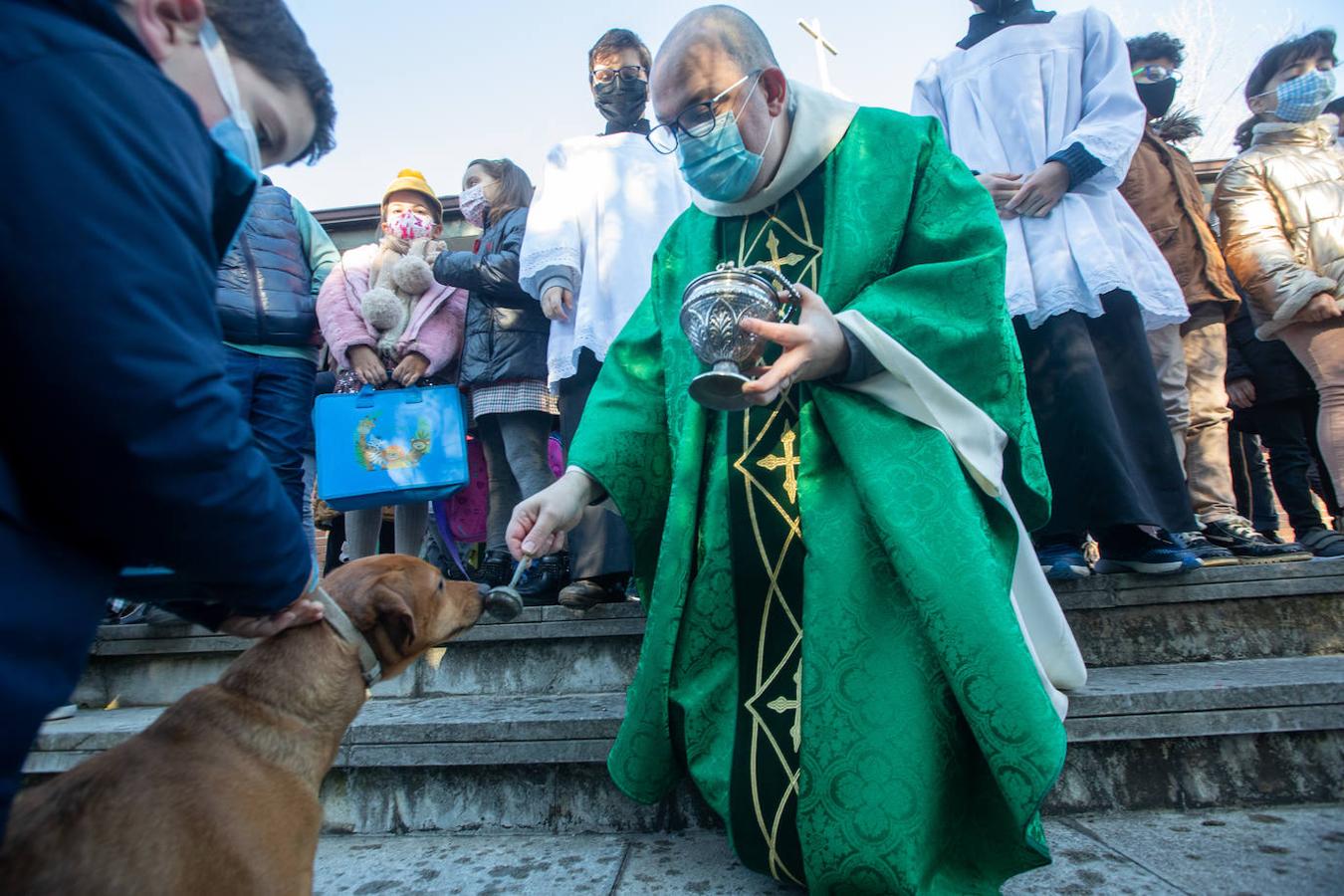 Fotos: Bendición de mascotas en Avilés