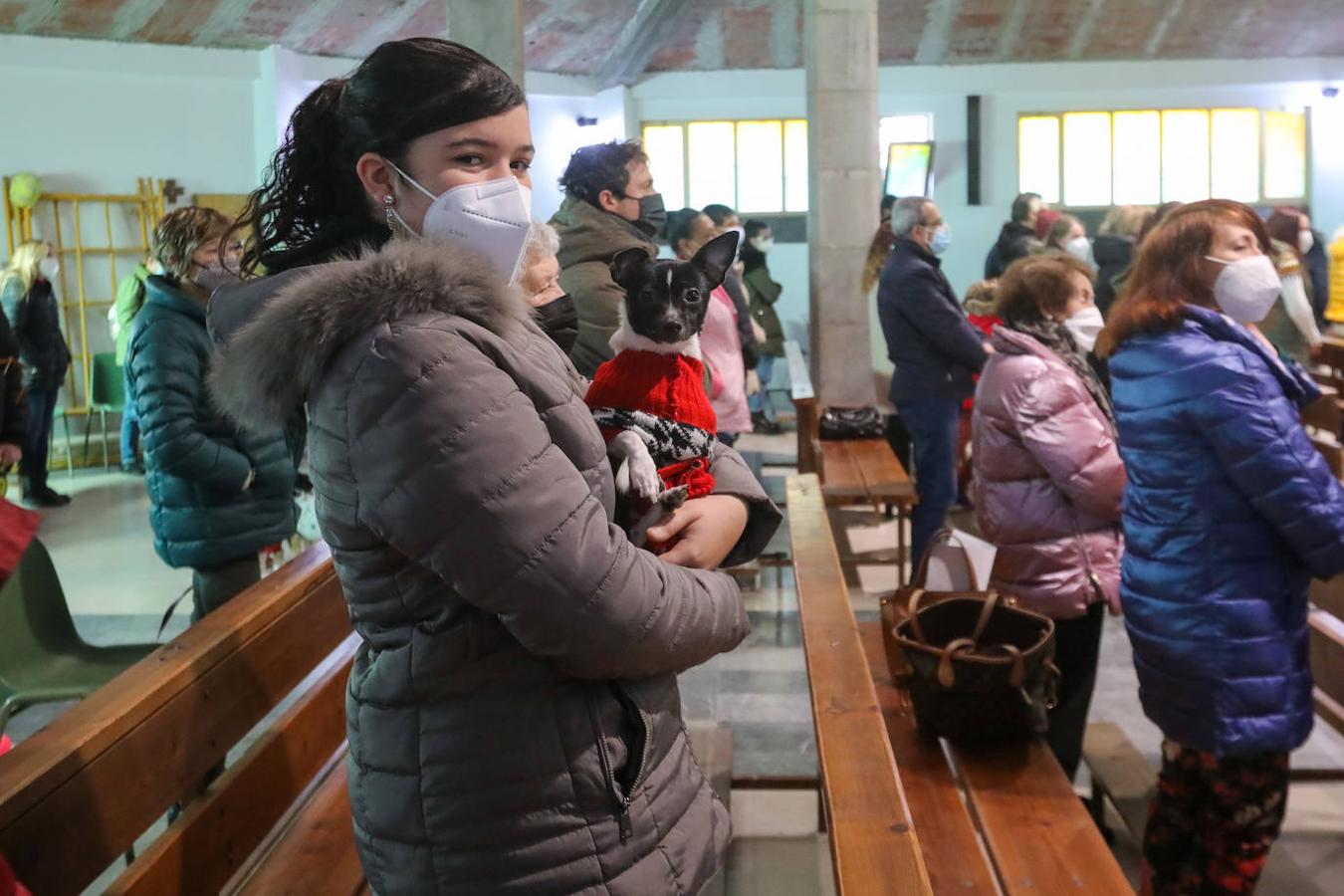 Fotos: Bendición de mascotas en Avilés