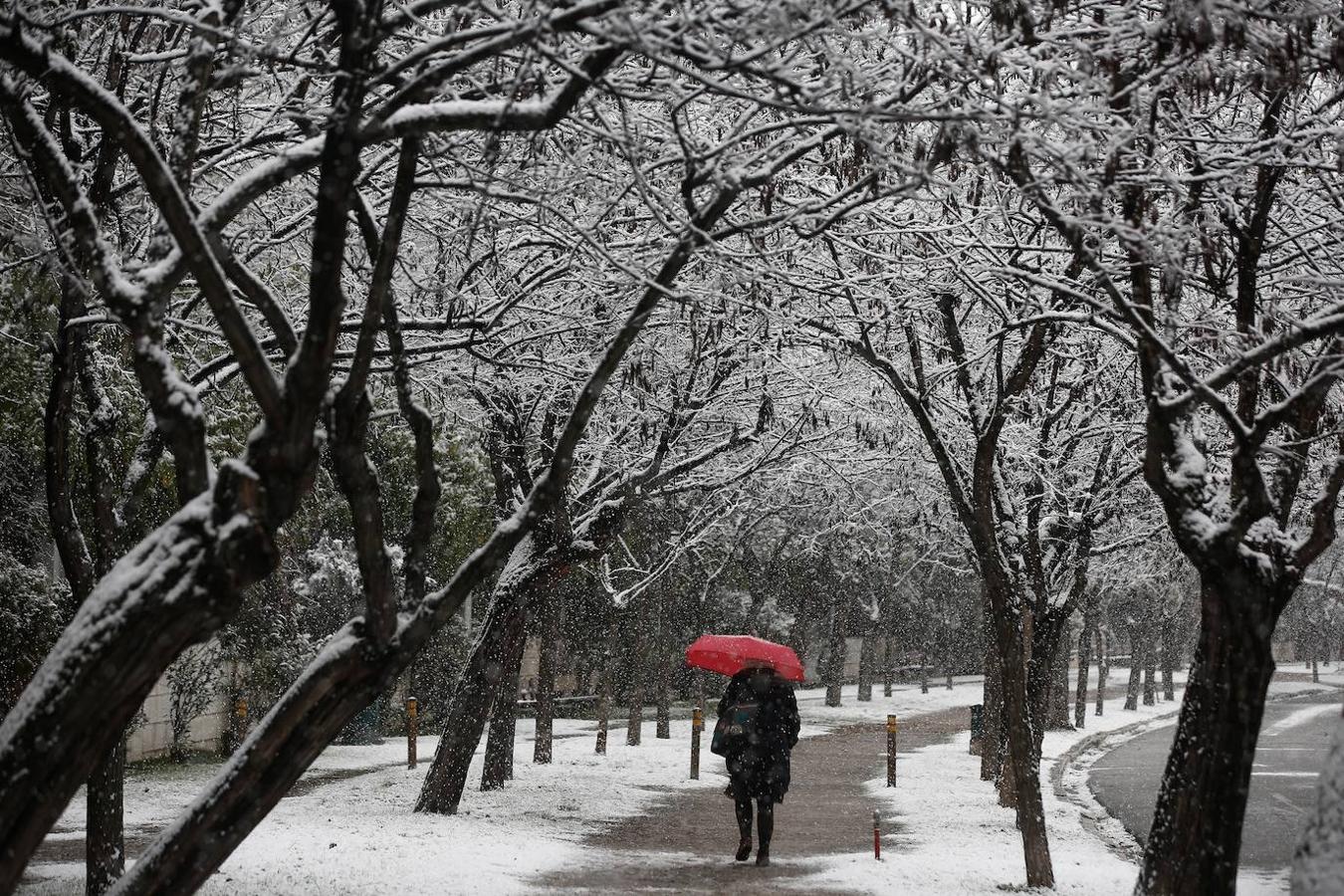 La Acrópolis de Atenas se despertó este lunes bajo un manto de nieve al igual que otros monumentos de la antigüedad en la capital griega y sus paisajes cotidianos, ofreciendo un espectáculo excepcional en medio de la ola de frío que el temporal Elpís ha dejado tras de sí.