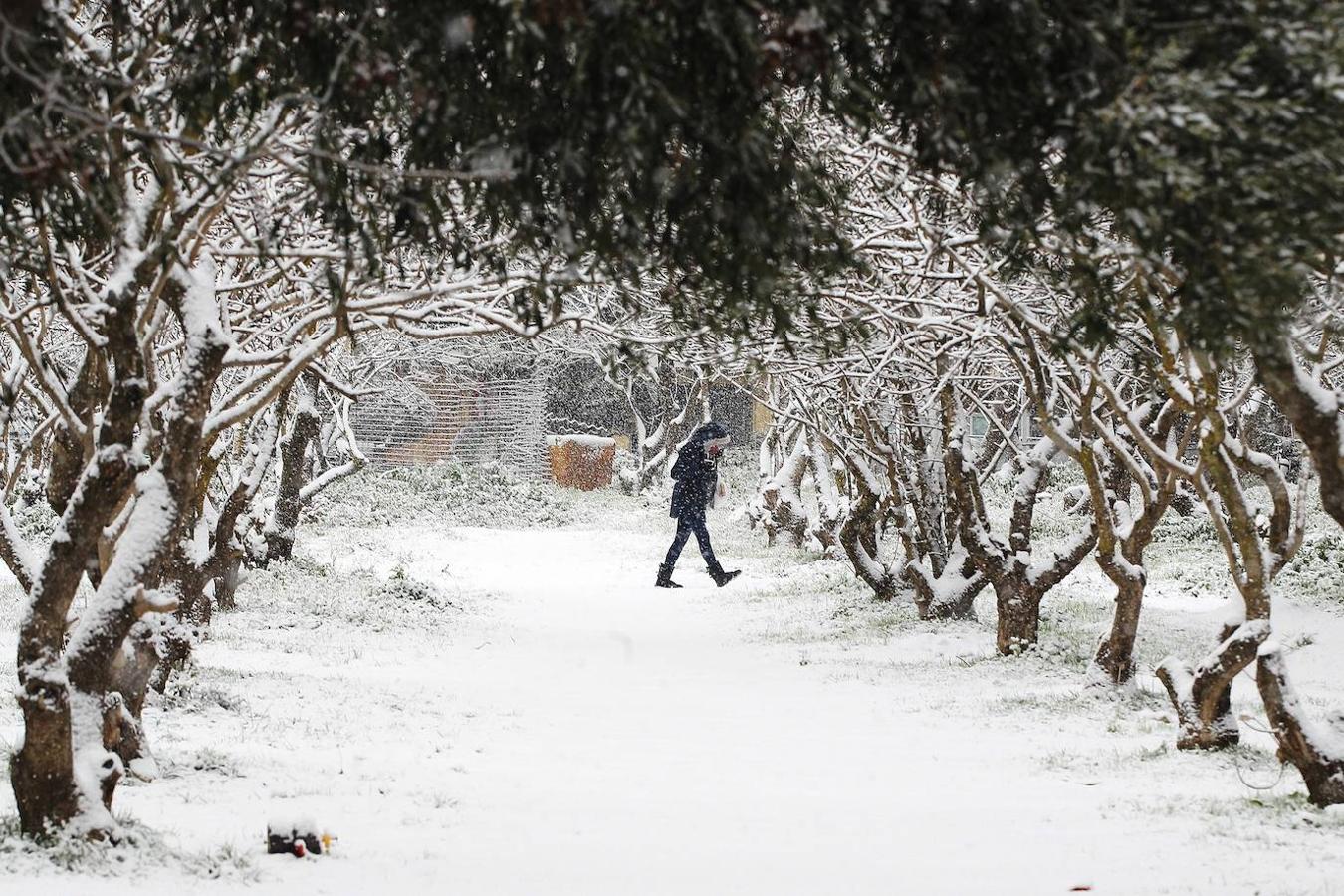 La Acrópolis de Atenas se despertó este lunes bajo un manto de nieve al igual que otros monumentos de la antigüedad en la capital griega y sus paisajes cotidianos, ofreciendo un espectáculo excepcional en medio de la ola de frío que el temporal Elpís ha dejado tras de sí.