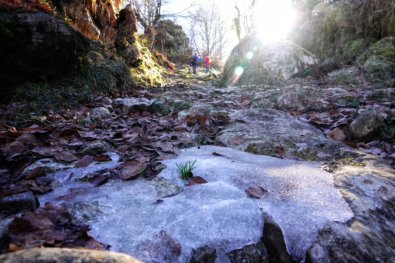 Entre el puerto del Pontón y el municipio de Amieva, atravesando el Parque Nacional de los Picos de Europa, existe un trazado de piedra serpenteante digno de conocer y andar: la senda del Arcedianu 