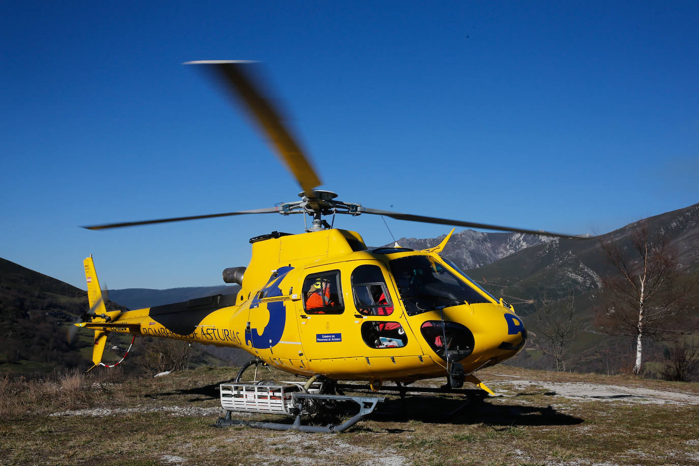 La rápida actuación de los servicios de emergencias impidió que el incendio entrase en la reserva natural de Muniellos, situada en la vertiente inmediatamente aledaña a la zona donde se estaba produciendo el fuego, que tiene todos las indicios de haber sido provocado, como comentaron algunos vecinos de la zona.