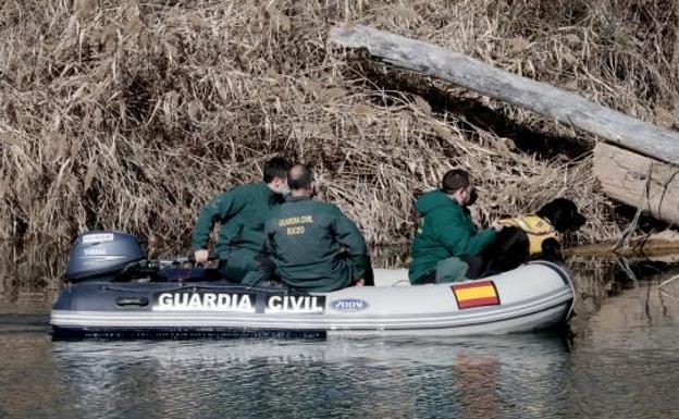 Los buzos inspeccionan el Duero con un guía canino mientras Baguira, un perro adiestrado, olfatea la lámina de agua. 