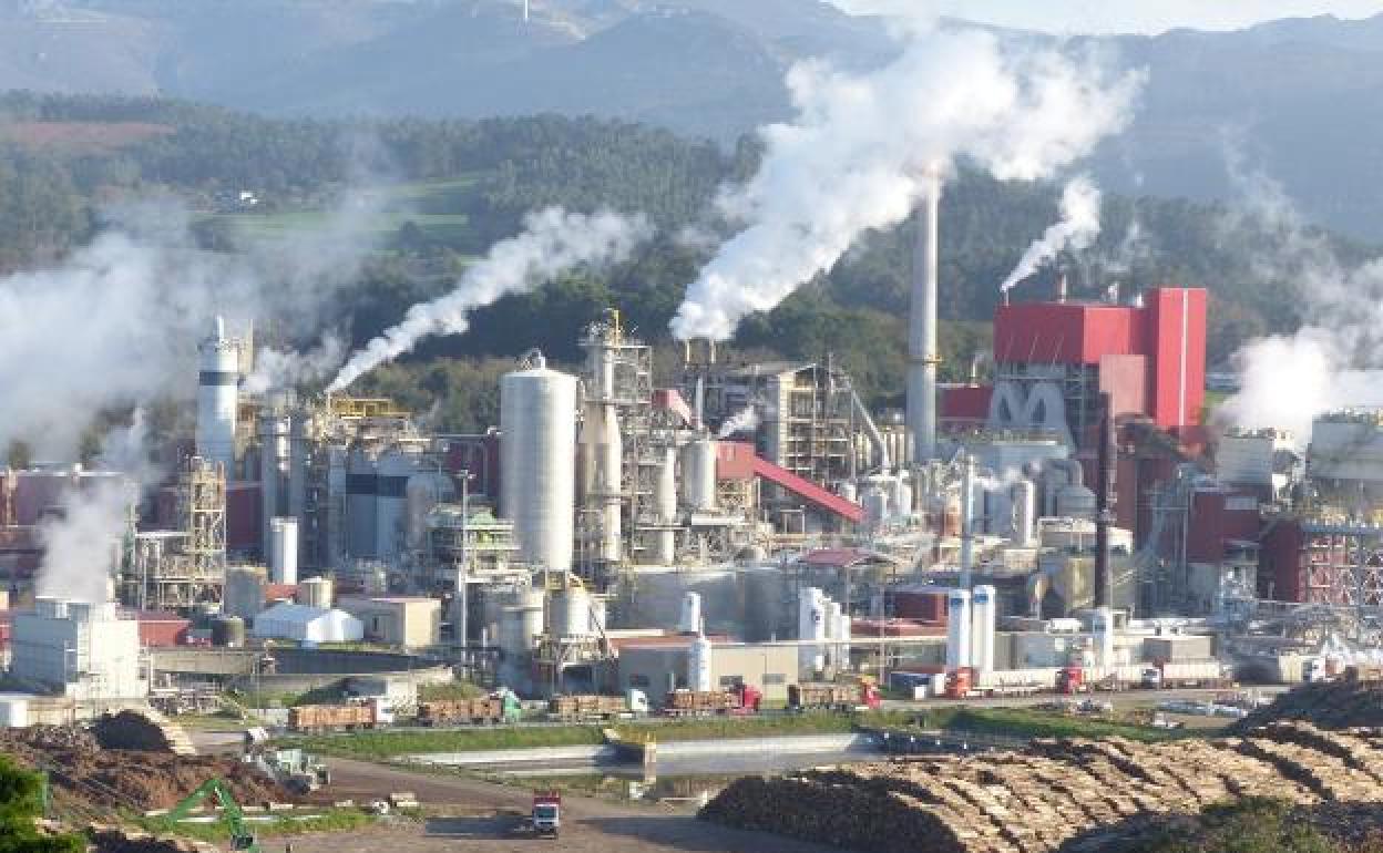 Planta de biomasa de ENCE en la localidad de Armental, Navia. 