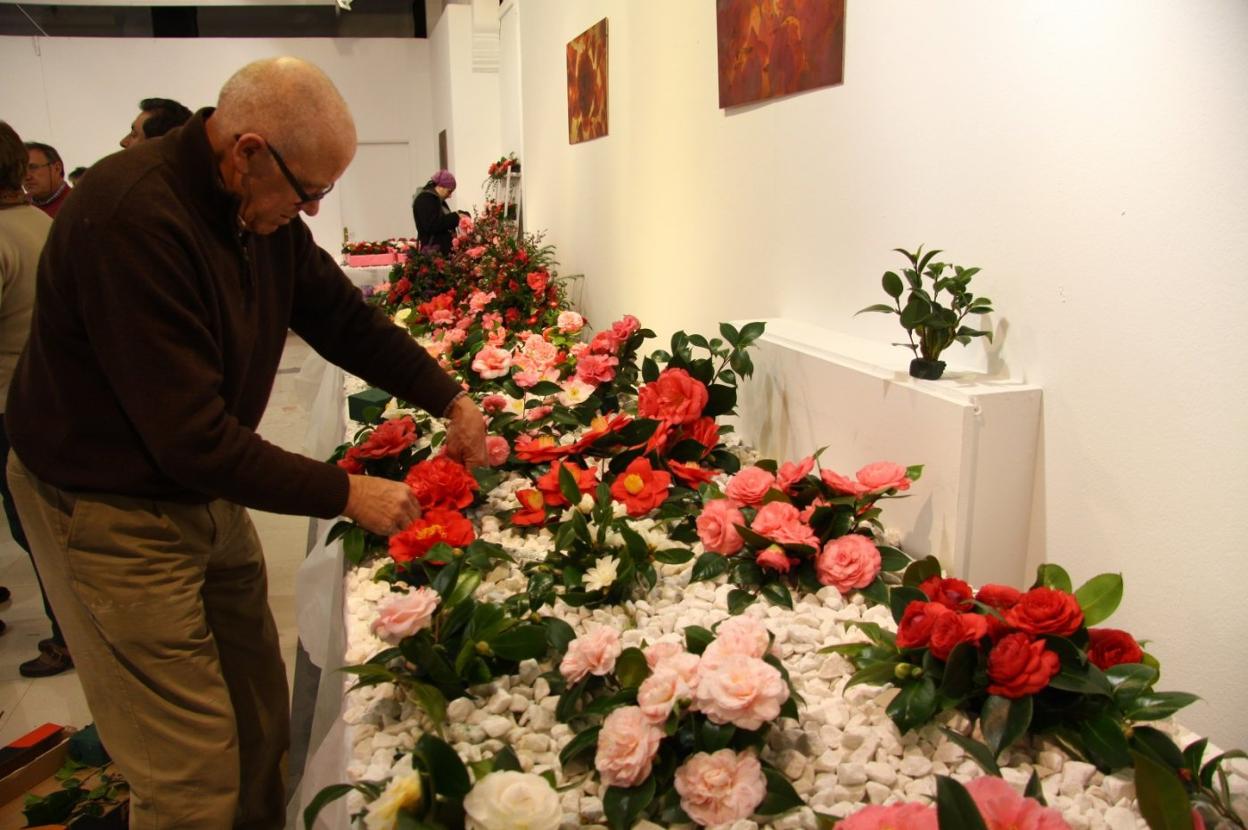 Un hombre arregla una camelia en la exposición de una edición anterior. 