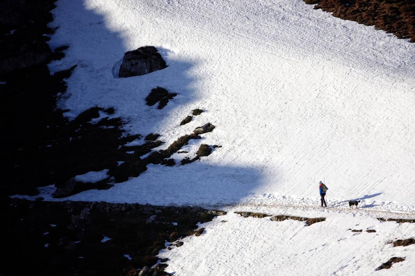 El cuerpo sin vida de Carlos Ugidos, el montañero llanisco desaparecido en Picos de Europa, fue hallado este jueves a las 12.15 horas en la ladera norte del pico Mancondiú y las primeras hipótesis apuntan a una caida por una ladera de fuerte pendiente.