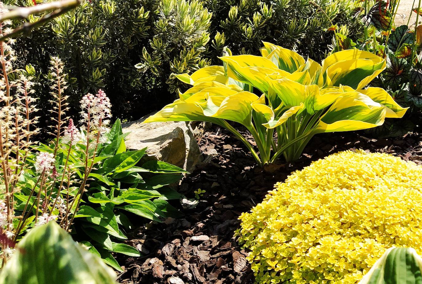 En el barrio del Peñeo, en la villa costera de Candás (Carreño), se esconde un hermoso y colorido jardín particular hecho a mano por el profesional y empresario de la jardinería Fernando Álvarez del Valle.