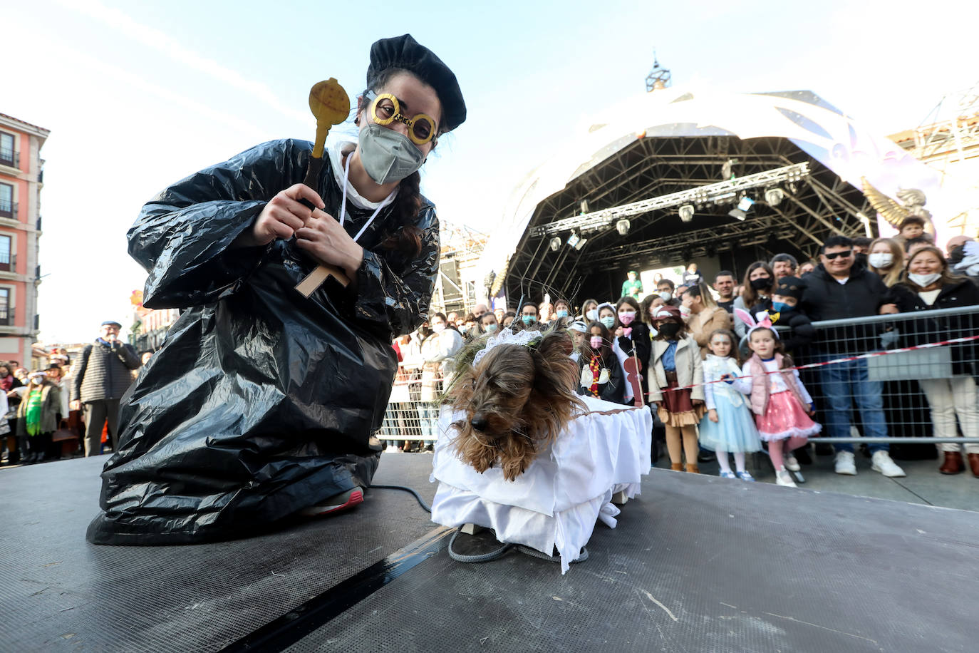 Fotos: Las mascotas se antroxan en Avilés