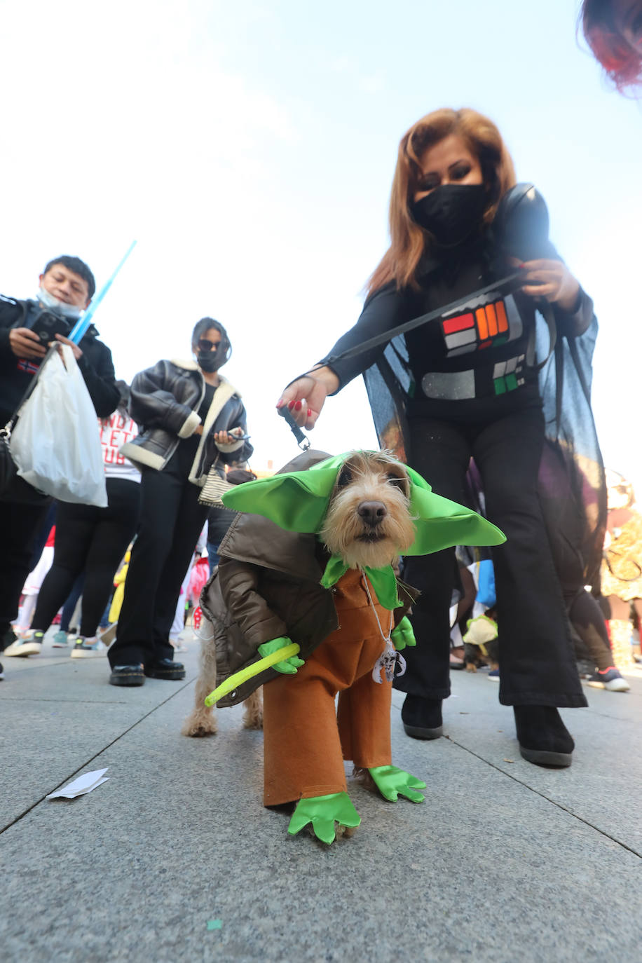 Fotos: Las mascotas se antroxan en Avilés