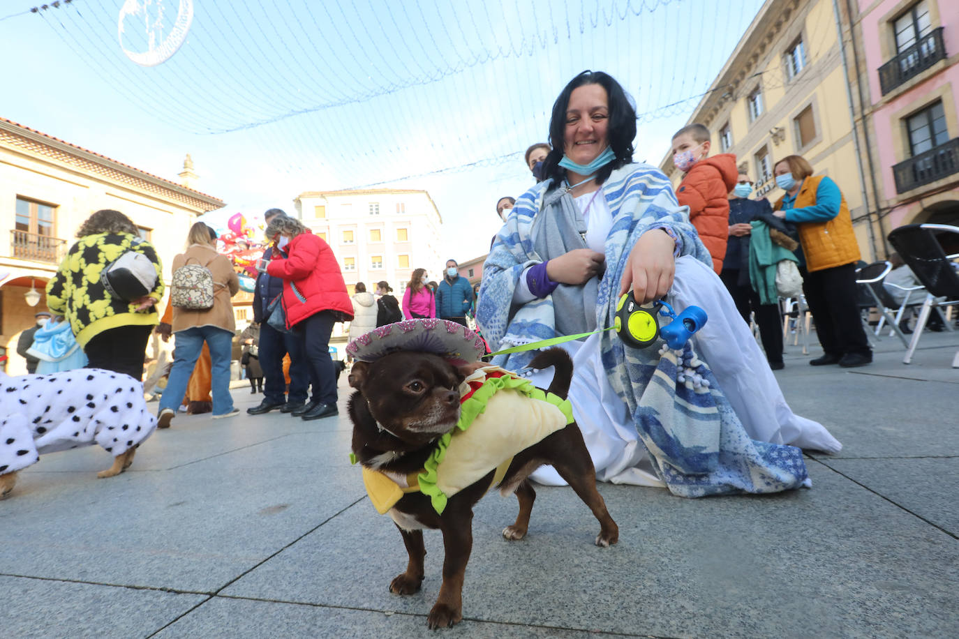 Fotos: Las mascotas se antroxan en Avilés
