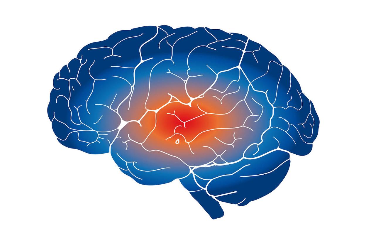 Las interrupciones en el estilo de vida de estos últimos años puede haber desencadenado inflamación en el cerebro