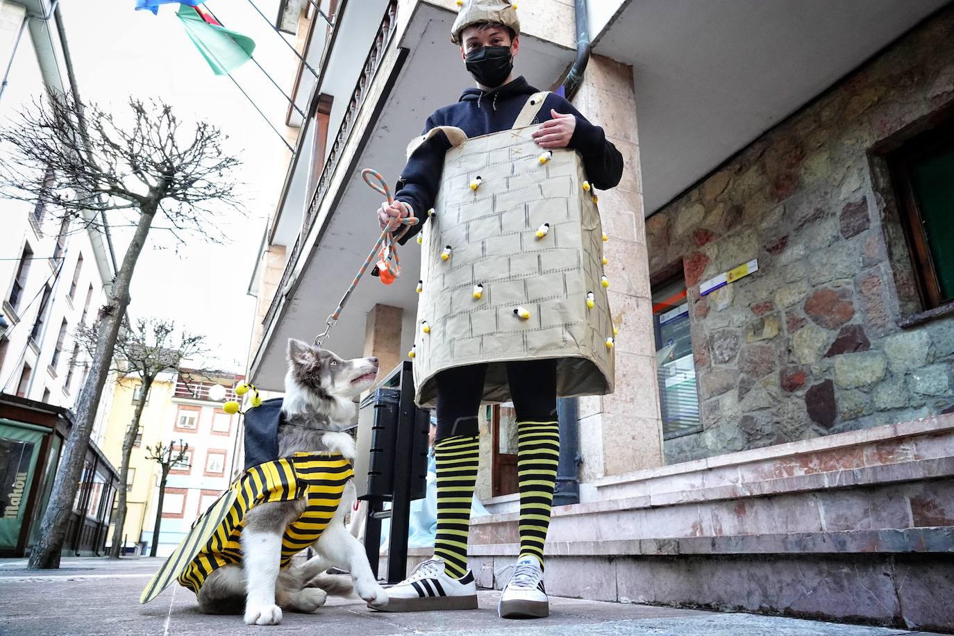 Fotos: Las mascotas de Cangas de Onís también se disfrazan