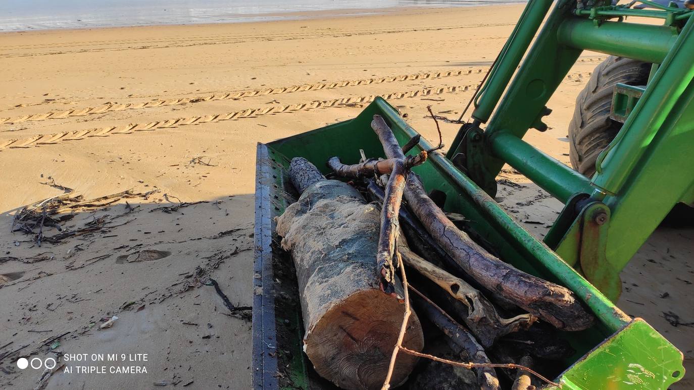 Personal de la Empresa Municipal de Limpieza del Ayuntamiento de Gijón (Emulsa) ha retirado un total de 4.600 kilos de madera acumulada en la playa gijonesa que acumuló «gran cantidad de ramas y troncos» que fueron arrastrados por el río Piles hasta el arenal a causa del temporal de los últimos días. 