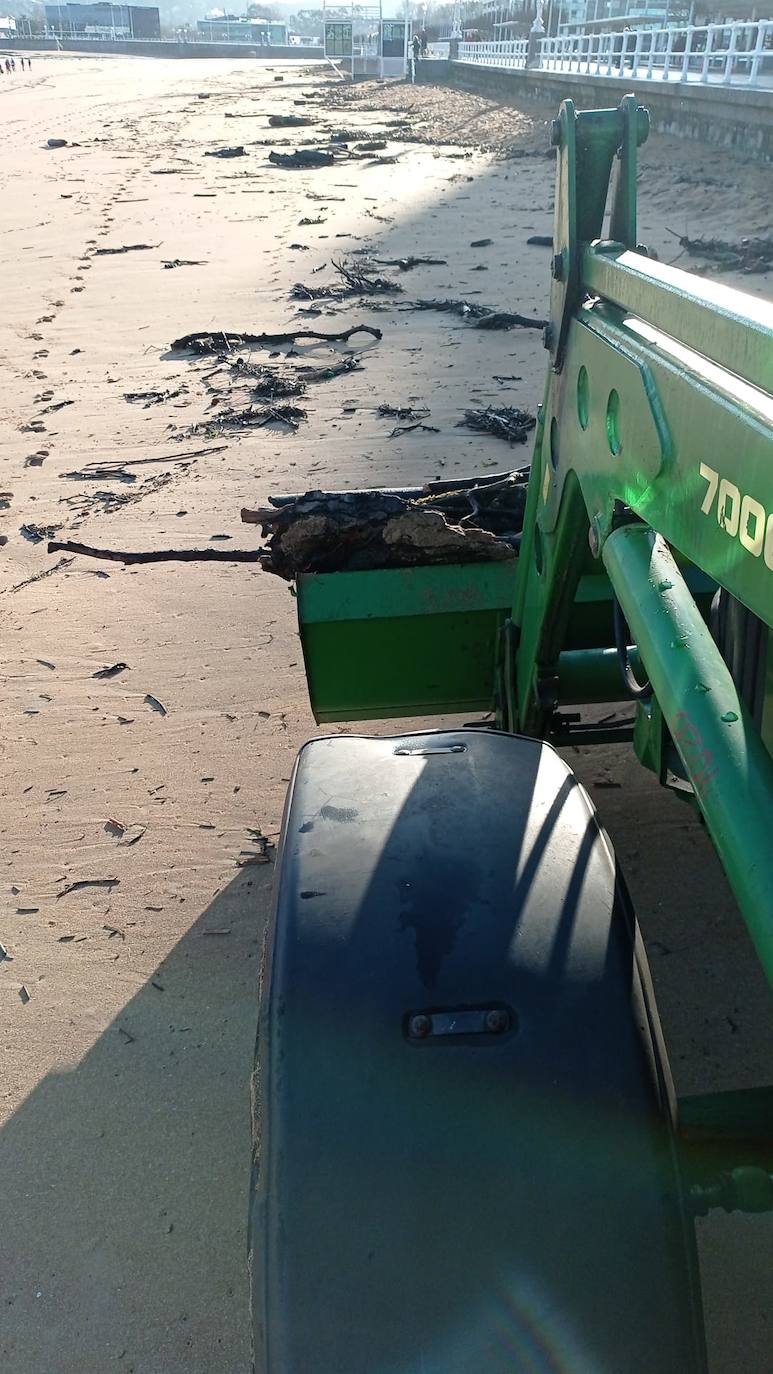 Personal de la Empresa Municipal de Limpieza del Ayuntamiento de Gijón (Emulsa) ha retirado un total de 4.600 kilos de madera acumulada en la playa gijonesa que acumuló «gran cantidad de ramas y troncos» que fueron arrastrados por el río Piles hasta el arenal a causa del temporal de los últimos días. 