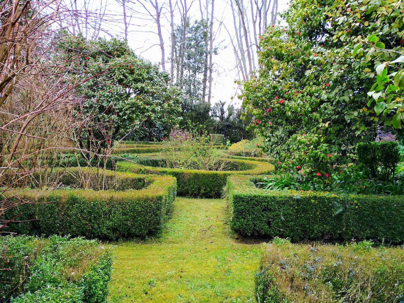 Otras vista parcial de los bojedales cuadrados del jardín francés con vértices truncados y disposición simétrica en torno a un redondel de boj.