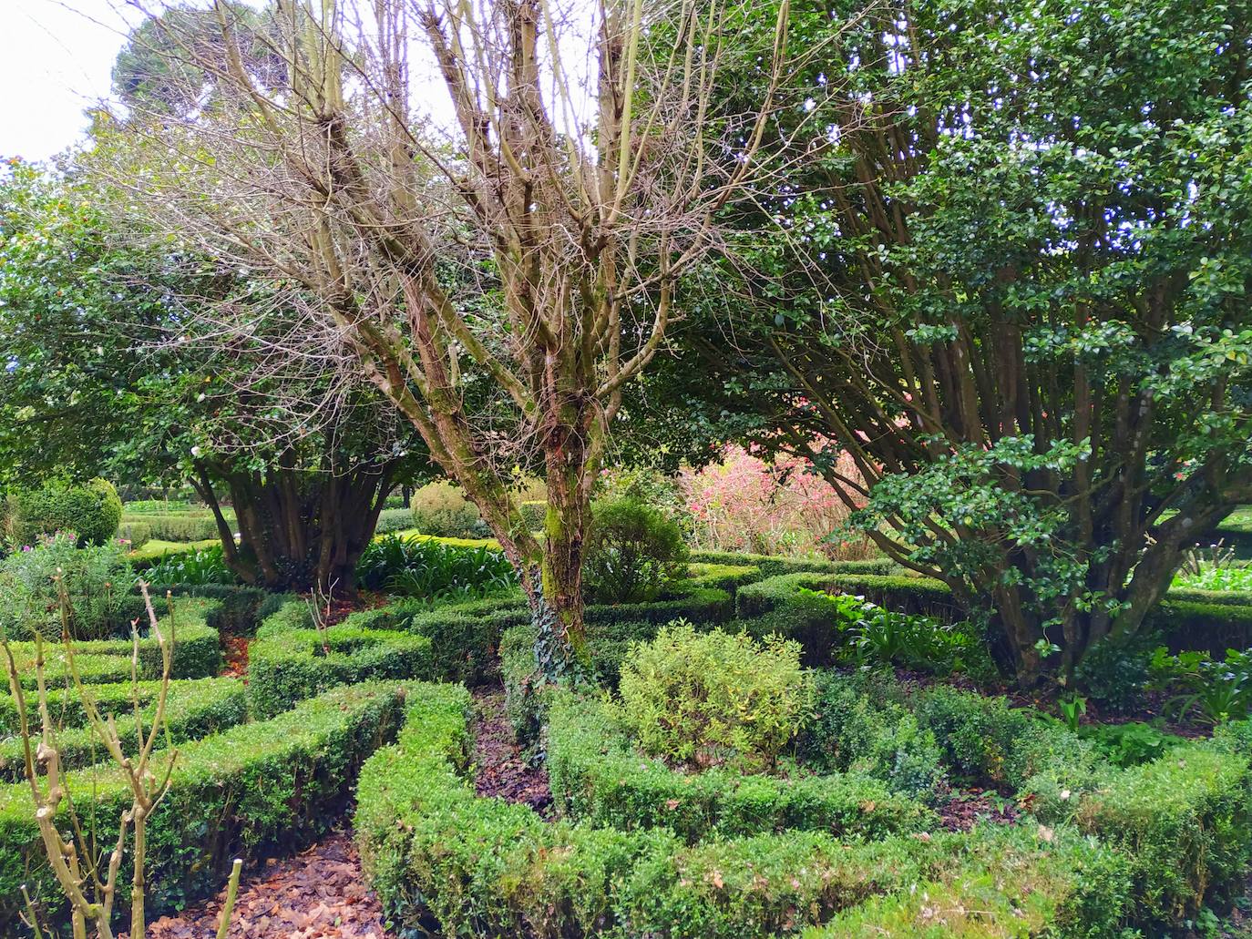 Trazado sinuoso del laberíntico jardín francés con bojedales en forma de broderie.