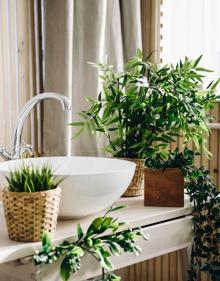 Imagen secundaria 2 - En cualquier lugar del hogar son unas buenas compañeras