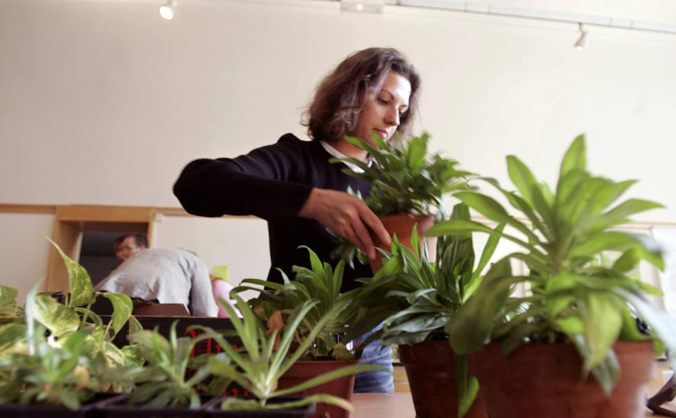 'Plantfulness': una práctica que ayuda a calmar el estrés