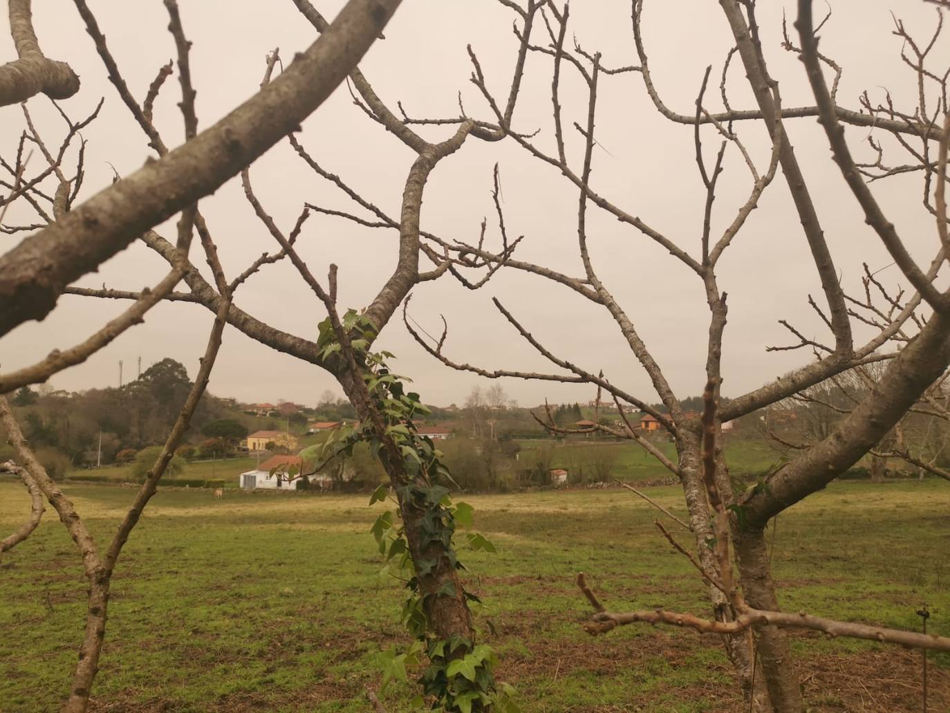 La intrusión de una gran masa en suspensión está dejando las calles y los coches de media España cubiertos de polvo rojo. En Asturias este polvo sahariano también se ha dejado notar y en zonas como el puerto de San Isidro se apreciaba con más intensidad.